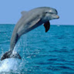 Meet your Posher, Jacqueline